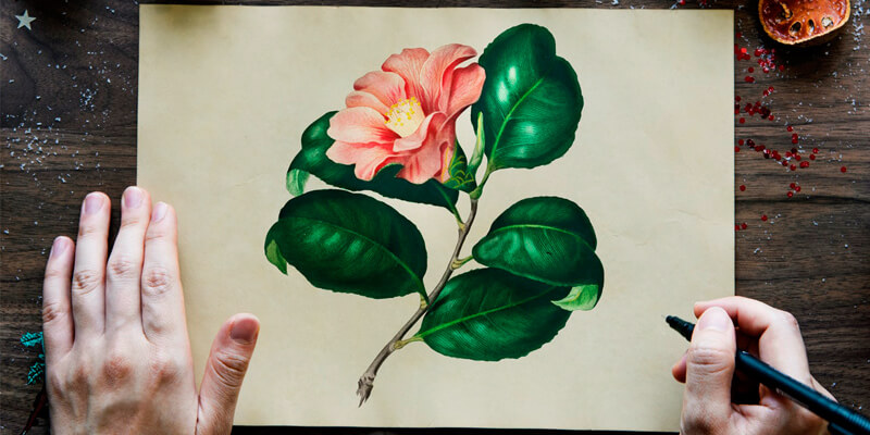 Jenis Desain Visual Gambar Lukisan Bunga