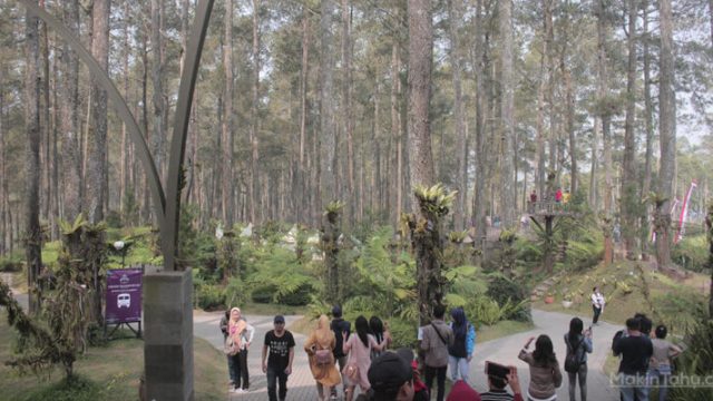 Orchid Forest Cikole Berwisata Di Tengah Hutan
