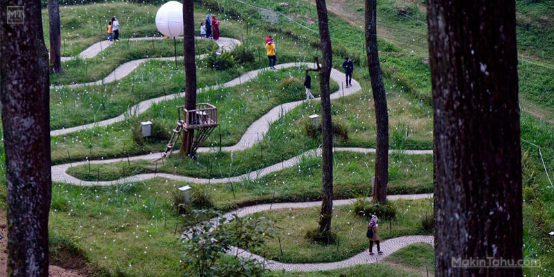 Orchid Forest Cikole Spot Jalan Meliuk