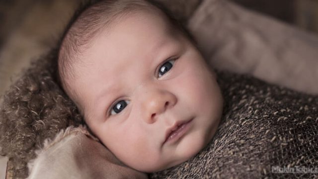 Ucapan Selamat Kelahiran Bayi MakinTahu