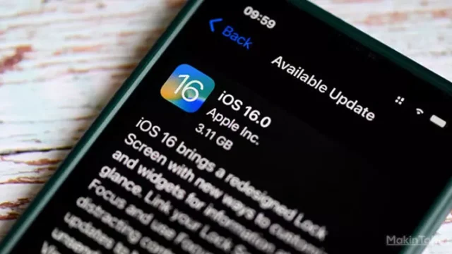 Berbagai Jenis Kerusakan Software iPhone