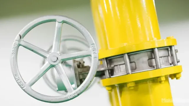 Jenis-Jenis Butterfly Valve Dan Cara Kerjanya